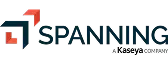 Spanning backup solutions logo